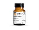Collagenase Type I|07415