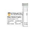 DNase I Solution (1 mg/mL)