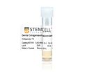 Gentle Collagenase/Hyaluronidase