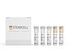 EasySep™ Mouse TIL (CD45) Positive Selection Kit 
