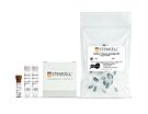 CellPore™ Transfection Kit 300 designed for transfection & intracellular delivery