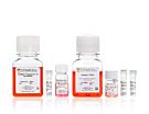 STEMdiff™ NK Cell Kit