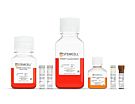 STEMdiff™ Branching Lung Organoid Kit