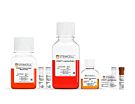 STEMdiff™ Lung Progenitor Kit