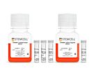 STEMdiff™ Gastric Organoid Differentiation Kit