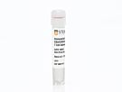 ImmunoCult™ Human CD3/CD28/CD2 T Cell Activator|10970
