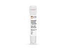 ImmunoCult™ Human CD3/CD28 T Cell Activator|10971