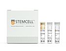 EasySep™ Mouse B Cell Isolation Kit|19854