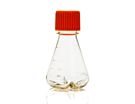 Corning® Disposable Erlenmeyer Flask, 125 mL