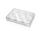  Costar® 6-Well Flat-Bottom Plate, Tissue Culture-Treated