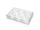 Falcon® 6-Well Flat-Bottom Plate, Tissue Culture-Treated