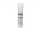 Anti-Human TRA-2-54 Antibody, Clone TRA-2-54/2J