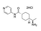 Y-27632 (Dihydrochloride)