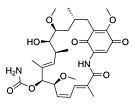 Geldanamycin