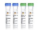 ArciTect™ Human HPRT Positive Control Kit