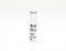 StemSpan™ CC100