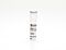 StemSpan™ CC110
