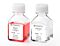 MegaCult™-C Collagen and Medium with Lipids