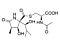 Lactacystin
