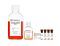PneumaCult™ Apical-Out Airway Organoid Secretory Medium