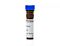Anti-Mouse MHC Class II (I-A/I-E) Antibody, Clone M5/114.15.2, APC