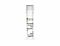 Anti-Acetylated Alpha-Tubulin (Acetyl K40) Antibody, Clone TEU318