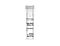 Wheat Germ Agglutinin (WGA) iFluor™ Conjugates