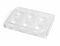 CellAdhereᵀᴹ Gelatin-Coated Plate