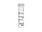 Anti-Human SATB2 (GLSS) Antibody, Polyclonal