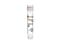 STEMdiff™-ACF RPE Plating Supplement