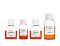 STEMdiff™-ACF RPE Differentiation Kit