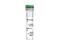 Human Recombinant Flt3/Flk-2 Ligand (CHO-expressed)
