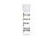 Human Recombinant Heregulin-beta 1, ACF