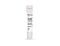ImmunoCult™ Human CD3/CD28 T Cell Activator