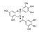 (-)-Epigallocatechin Gallate