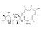Bafilomycin A1