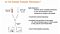 Fully Automated Cell Separation for Chimerism Analysis with RoboSep™