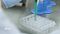 How to Perform a TEER Measurement to Evaluate Epithelial Barrier Integrity in ALI Cultures