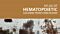 Atlas of Hematopoietic Colonies From Cord Blood