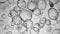 How to Perform Albumin Detection Assays in Human Hepatic Organoids