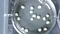 How to Grow Cerebral Organoids from Human Pluripotent Stem Cells