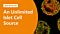 An Unlimited Islet Cell Source