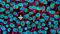 Large-Scale Expansion of hPSCs in 2D Monolayer Culture using mTeSR™ Plus