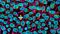 Large-Scale Expansion of Human Pluripotent Stem Cells (hPSCs) in 2D Monolayer Culture using TeSR™-AOF