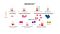 MesenCult™ for Mesenchymal Stromal Cell Derivation, Culture & Differentiation