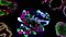 The Predictive Power of Organoids in Drug Discovery