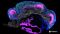 Mini-Symposium: The Evolution and Application of Brain Organoids to Study Human Disease