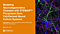 Modeling Neurodegenerative Diseases with STEMdiff™ Pluripotent Stem Cell-Derived Neural Culture Systems