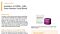 Isolation of CD34+ Cells from Human Cord Blood