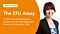 The CFU Assay: In Vitro Functional Potency Assessment for Hematopoietic Stem and Progenitor Cells